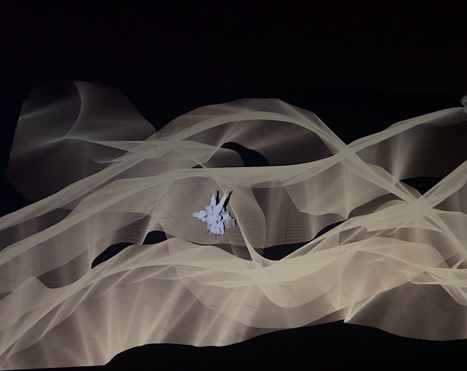 A still from the performance of MUJO