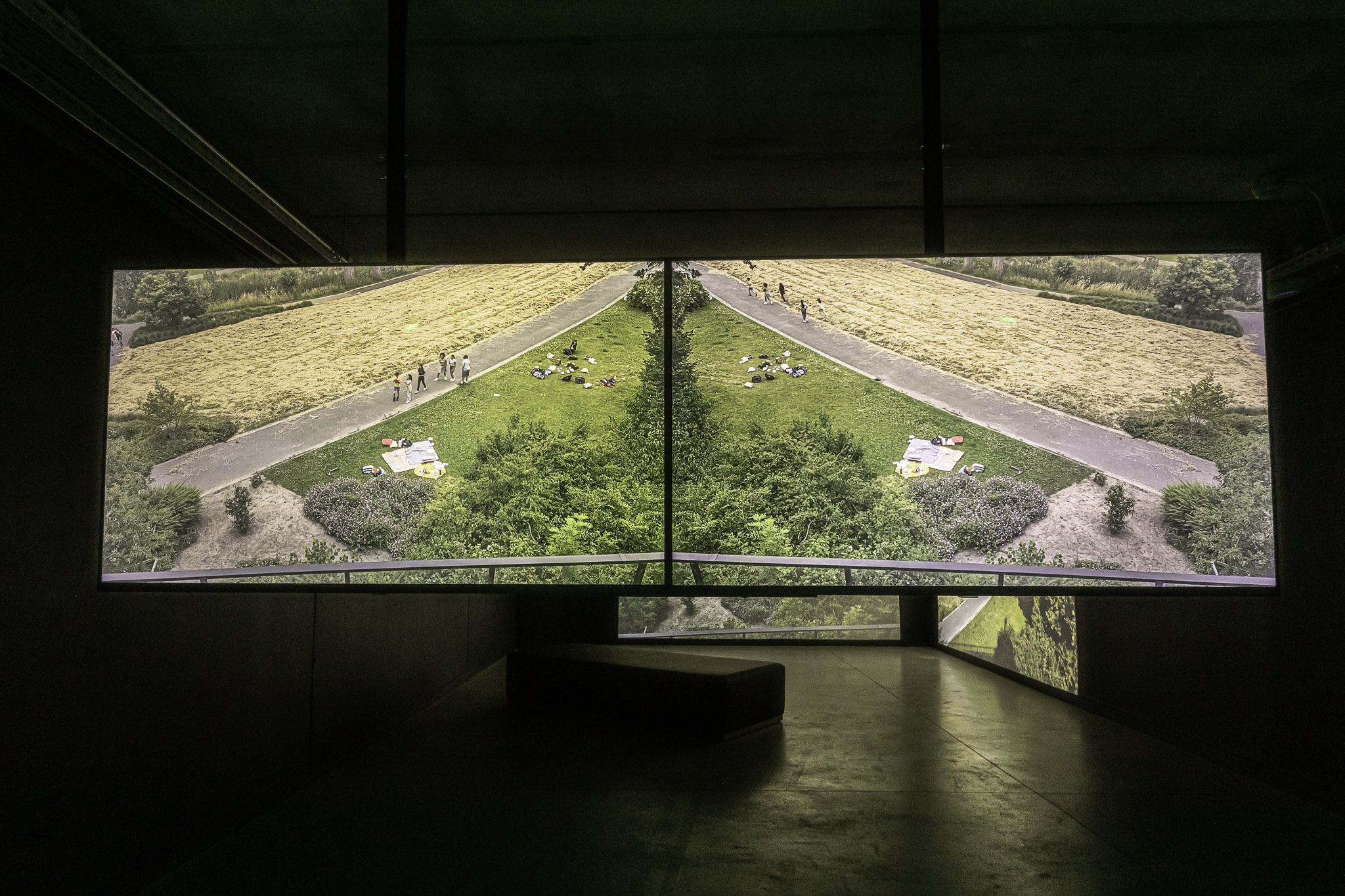 A photo from the exhibition Still Moving Inside Me by Tatiana Macedo